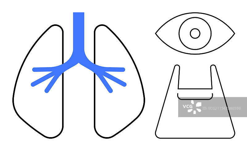 抽象的医疗和科技线条艺术图片素材