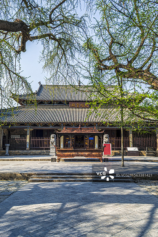 淮南寿县古城报恩禅寺银杏怀抱大雄宝殿图片素材