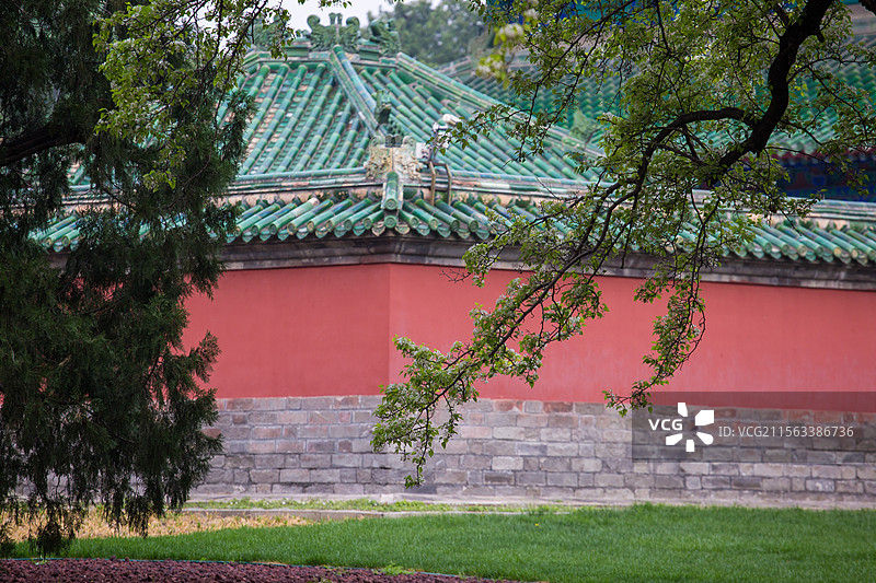 天坛的杜梨图片素材