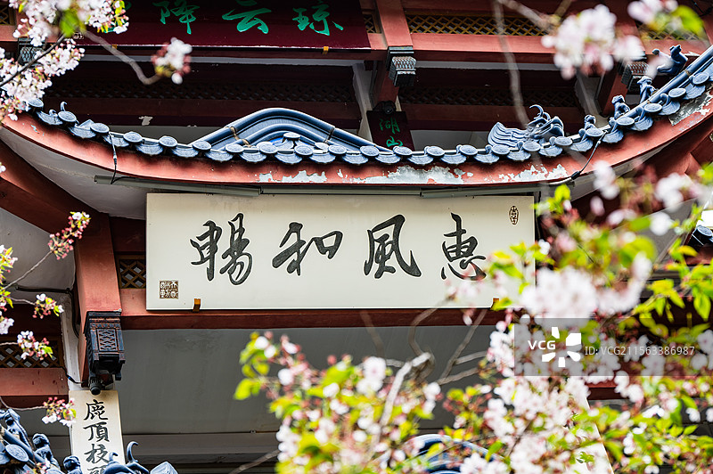 无锡鼋头渚赏樱楼图片素材