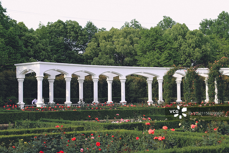 玫瑰花园的白色建筑图片素材