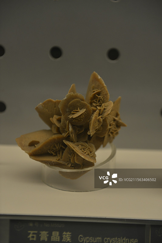 中国地质博物馆矿物化石岩石宝石标本图片素材