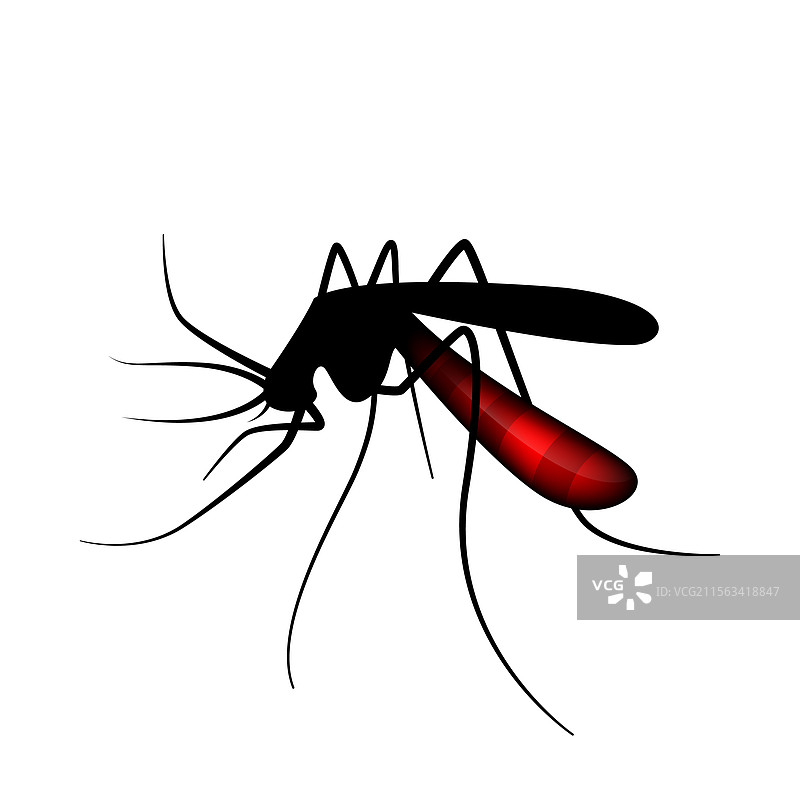 蚊子剪影 吸血蚊子图片素材