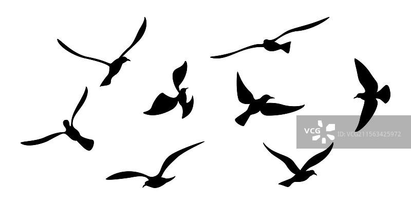 飞鸟图标 一群飞翔的鸟 海鸥图片素材