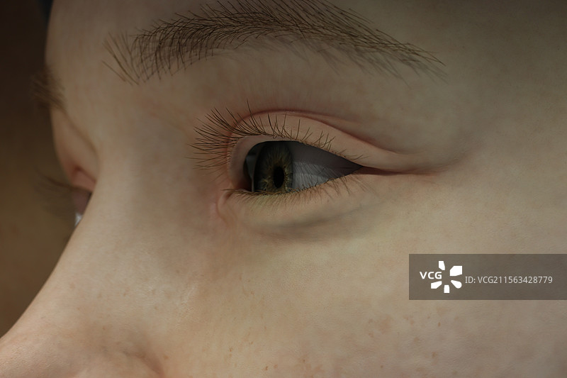 仿真人物脸部模特图片素材