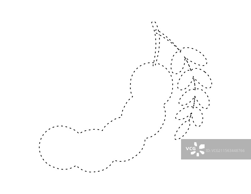 虚线罗望子轮廓供涂色书使用图片素材