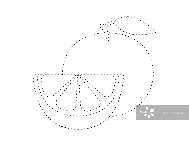 虚线柚子轮廓供涂色书使用图片素材