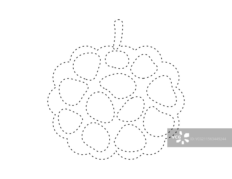 虚线的释迦果轮廓，供涂色书使用图片素材
