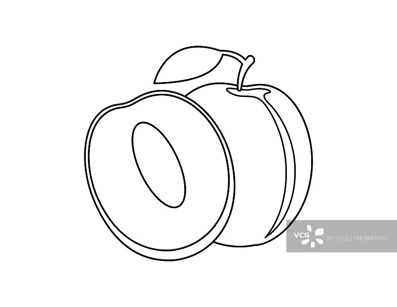 李子轮廓涂色书模板图片素材