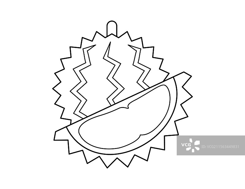 榴莲轮廓涂色书模板 榴莲图片素材