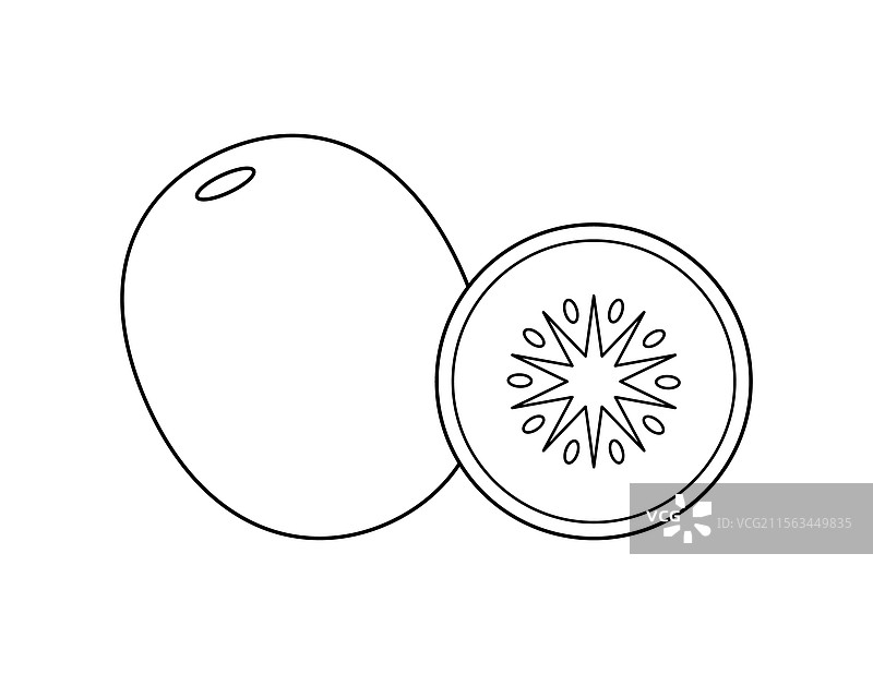 猕猴桃水果轮廓涂色书模板图片素材