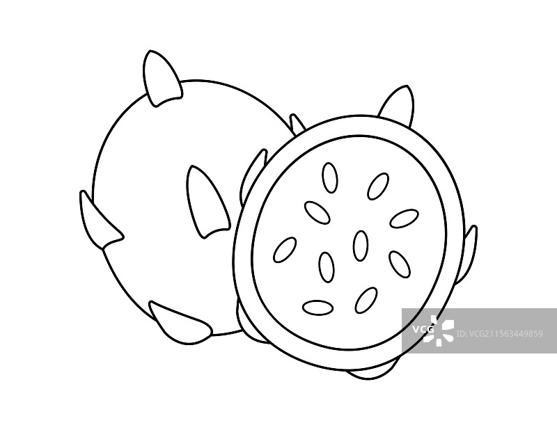 龙果轮廓涂色书模板图片素材