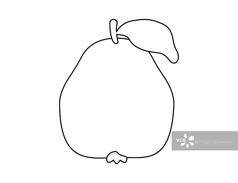 榅桲水果轮廓图，用于涂色书模板图片素材