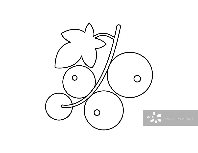 红醋栗轮廓图用于涂色书模板图片素材