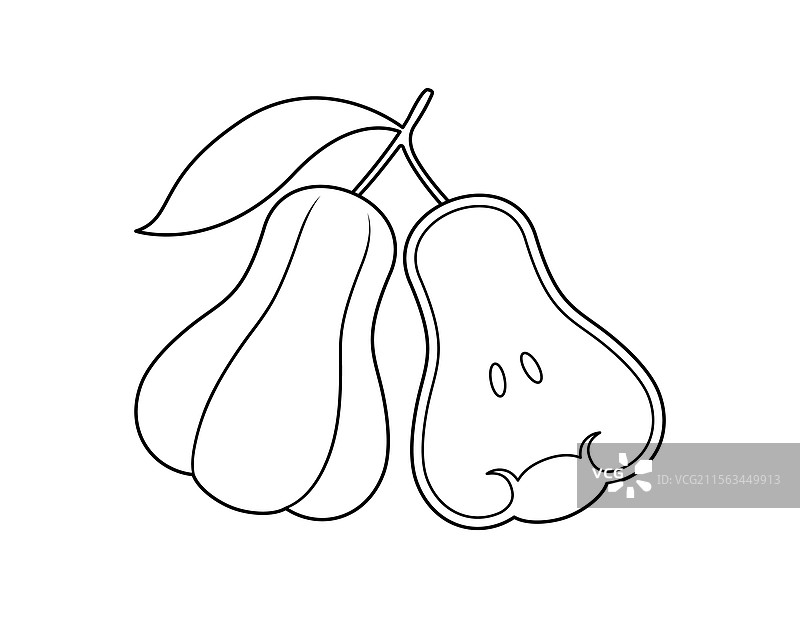 玫瑰苹果轮廓涂色书模板图片素材