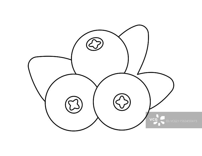 蔓越莓轮廓涂色书模板图片素材