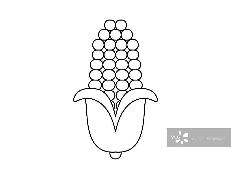 甜玉米轮廓涂色书模板图片素材