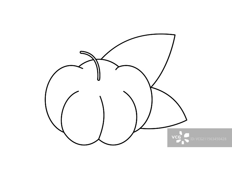 星星醋栗轮廓图供涂色书使用图片素材