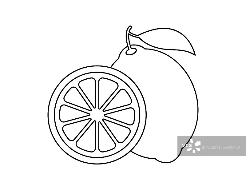 柠檬轮廓涂色书模板图片素材