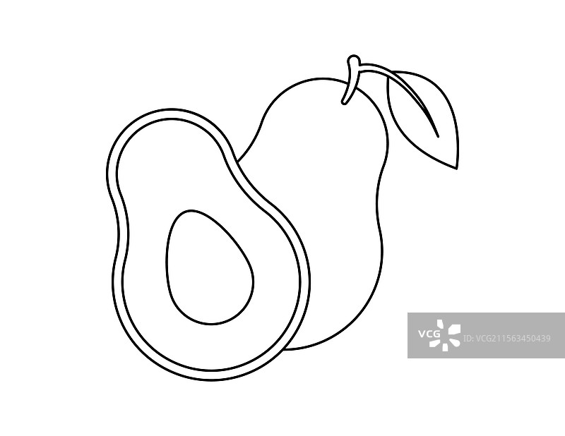 鳄梨轮廓涂色书模板图片素材