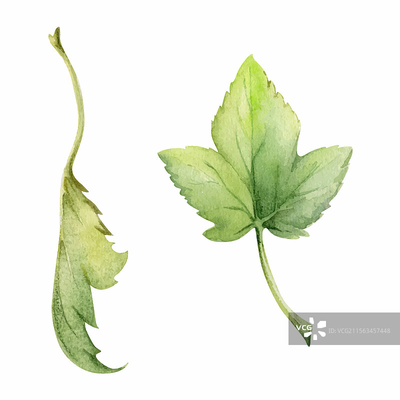 花丛树木的绿色叶子与手图片素材