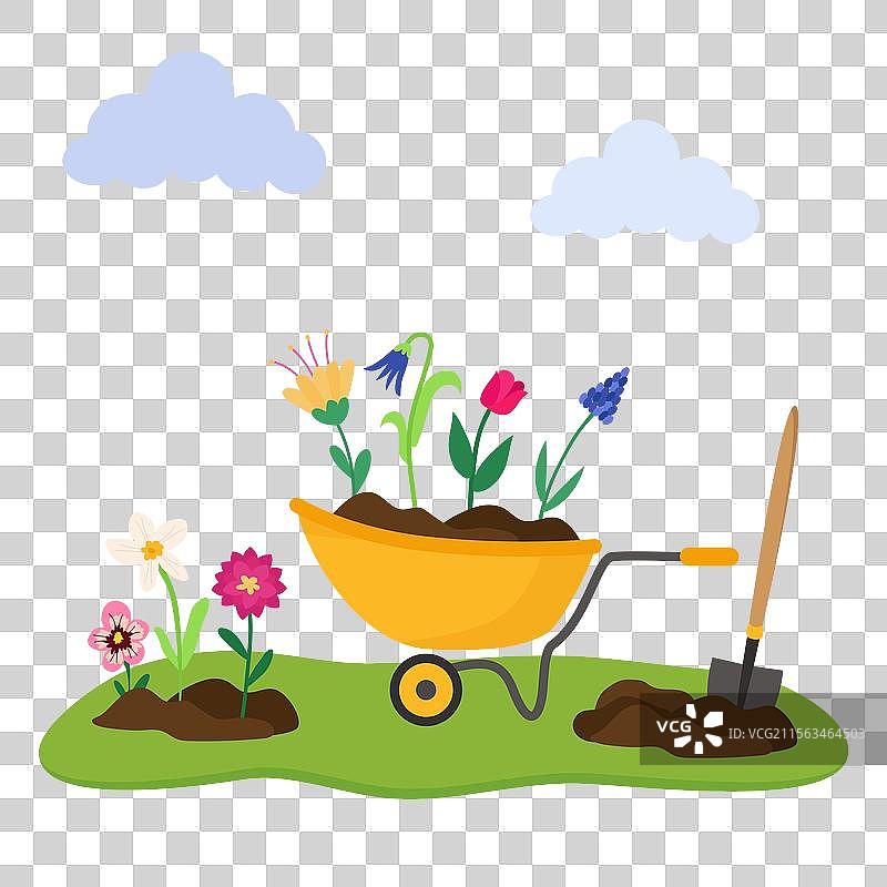 春季明亮花卉的园艺种植图片素材