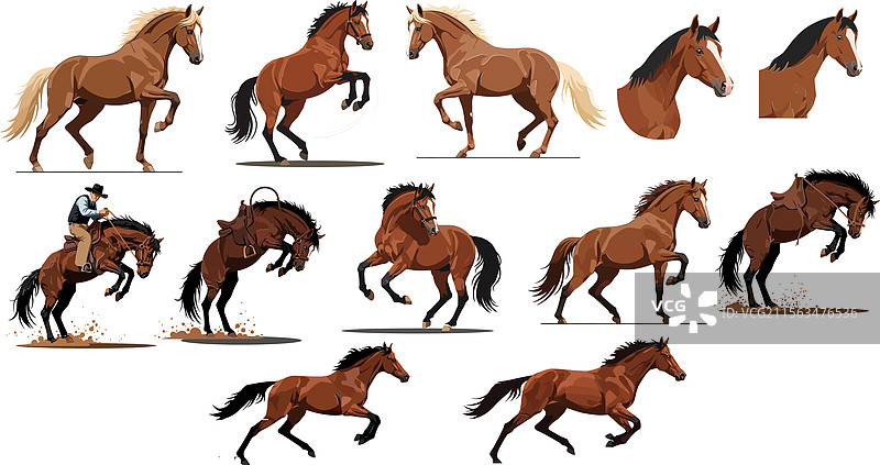 多种动态马匹姿势的精美艺术作品图片素材