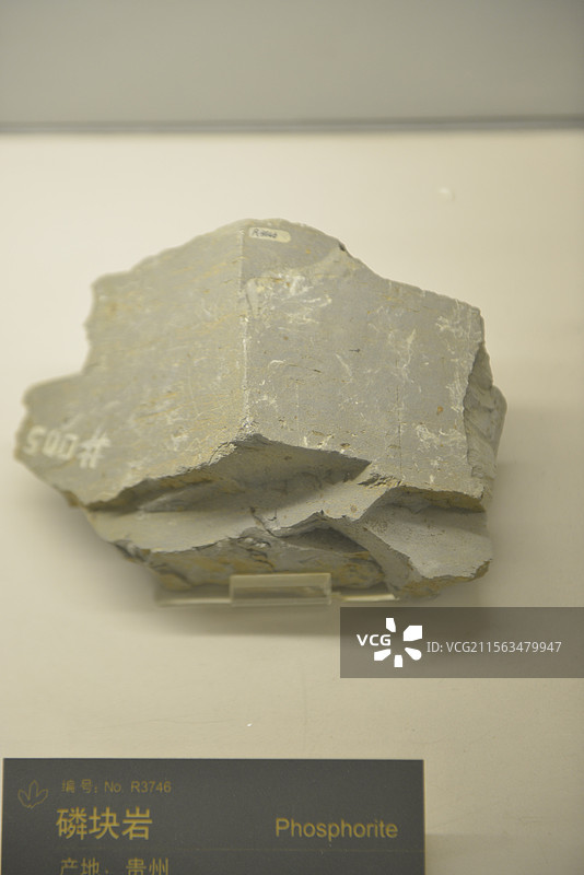 中国地质博物馆矿物化石岩石宝石标本图片素材