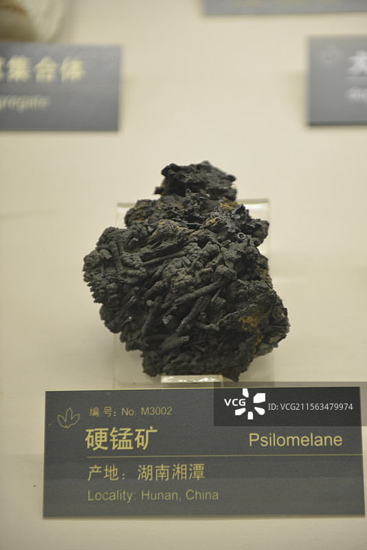 中国地质博物馆矿物化石岩石宝石标本图片素材
