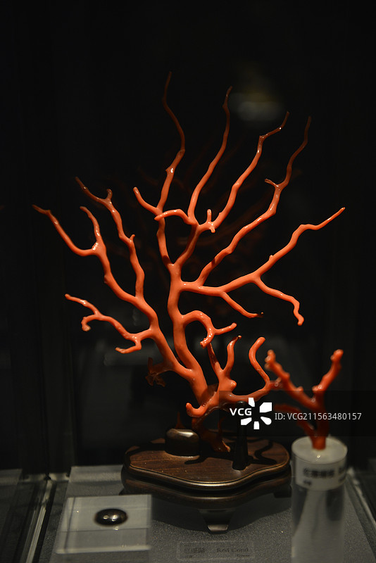 中国地质博物馆矿物化石岩石宝石标本图片素材