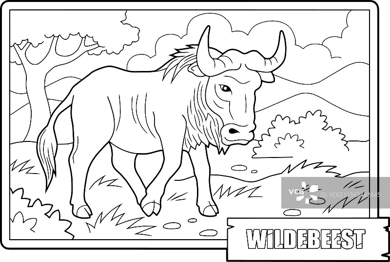 角马涂色页图片素材