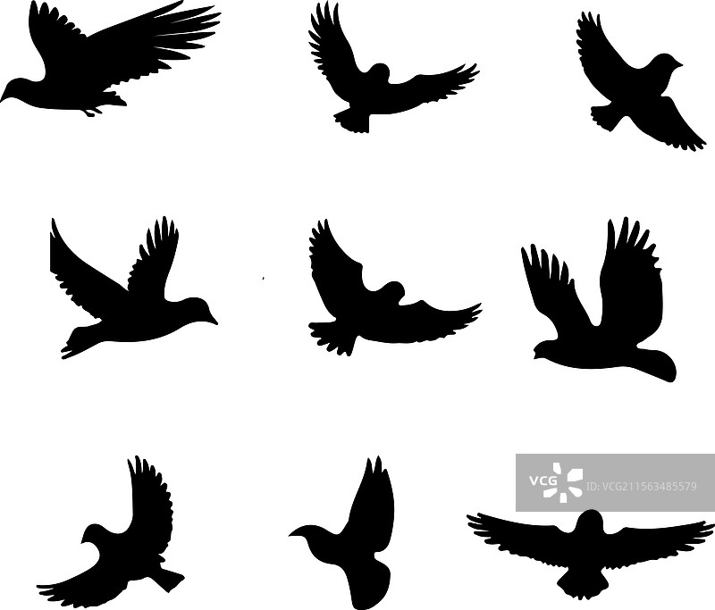 一组孤立的飞翔鸽子剪影图片素材