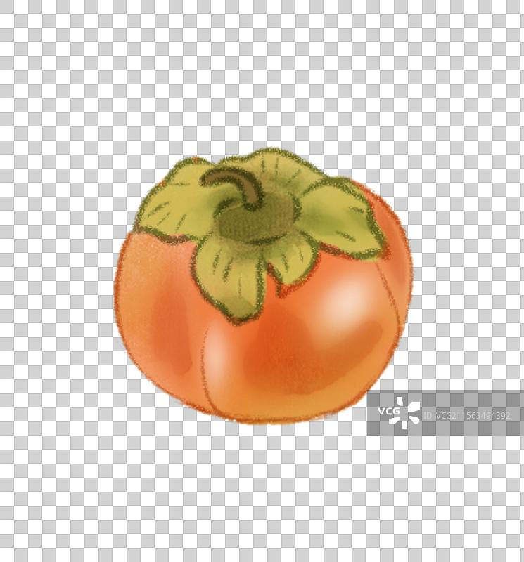 一颗柿子图片素材