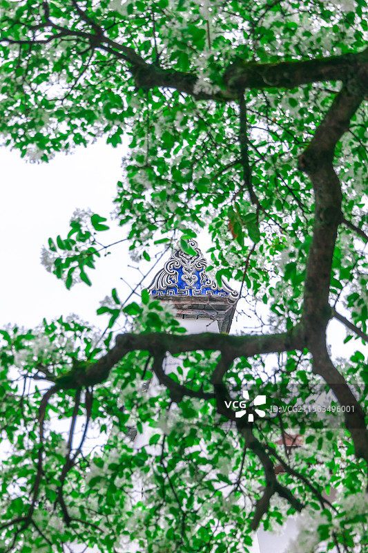 衣锦坊前雪倾城，千年流苏守巷深图片素材