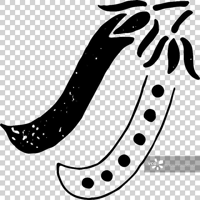 简笔画 元素 豆角图片素材