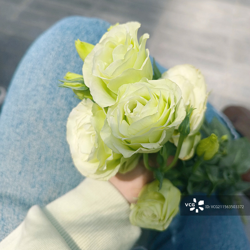 洋桔梗图片素材