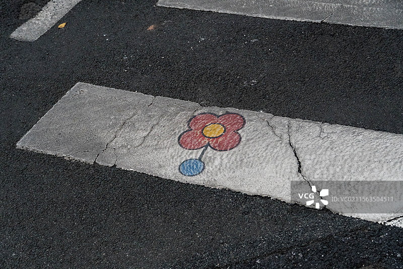 斑马线“绽放”的小花图片素材