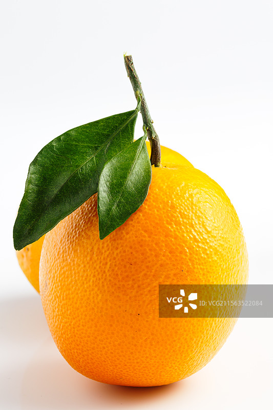 橙子 水果 美食 静物 特写图片素材