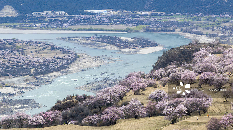 索松村桃花图片素材