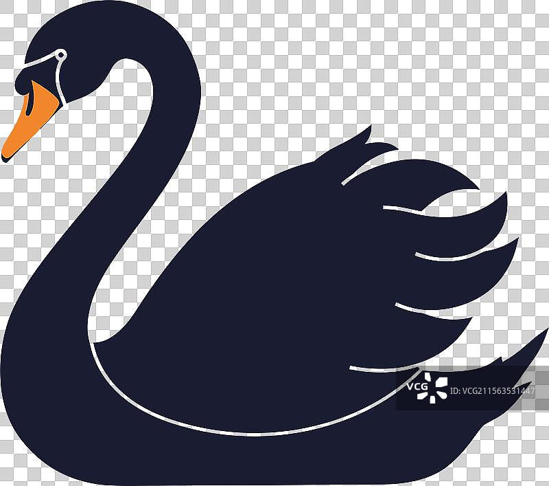 优雅的黑天鹅以极简设计风格呈现图片素材