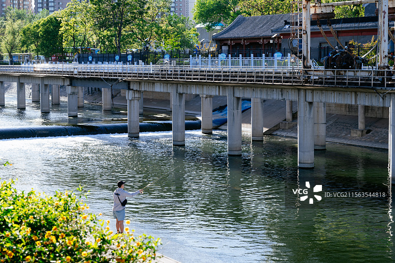 北京护城河边的风光图片素材