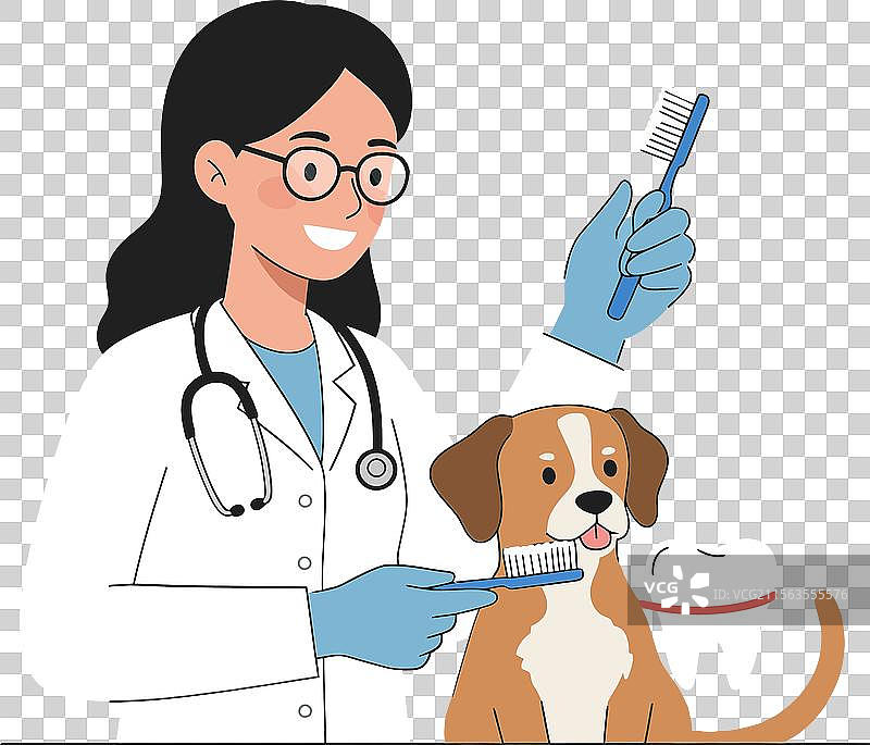 兽医温柔地为狗梳理毛发图片素材