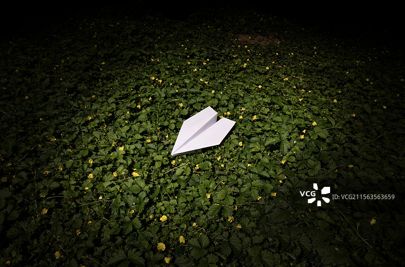 繁花落梦图片素材