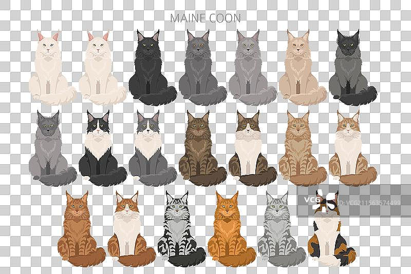 缅因猫剪贴画，所有毛色系列图片素材