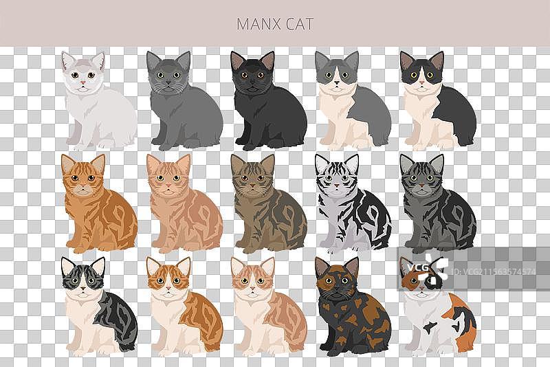 曼克斯猫剪贴画，所有毛色系列，所有猫咪图片素材