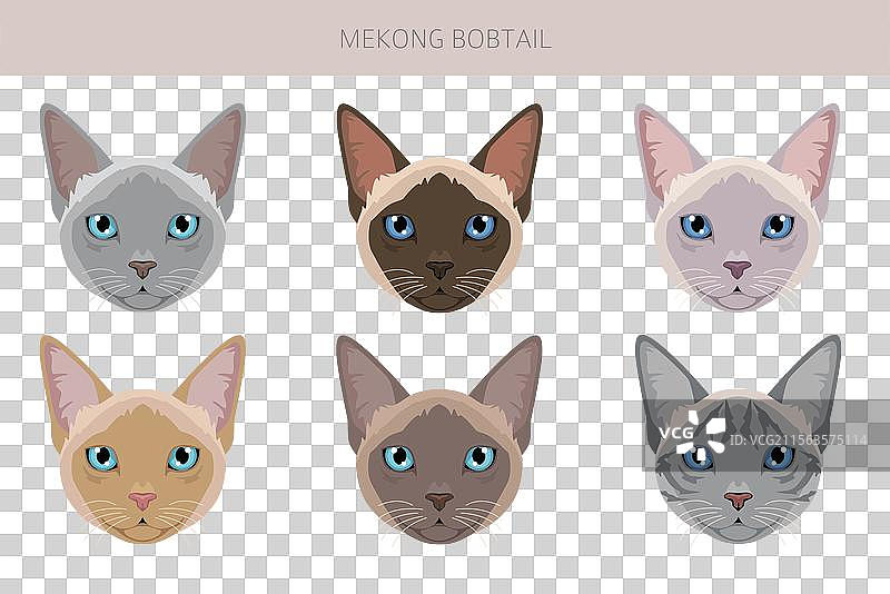 湄公河短尾猫剪贴画全毛色系列图片素材