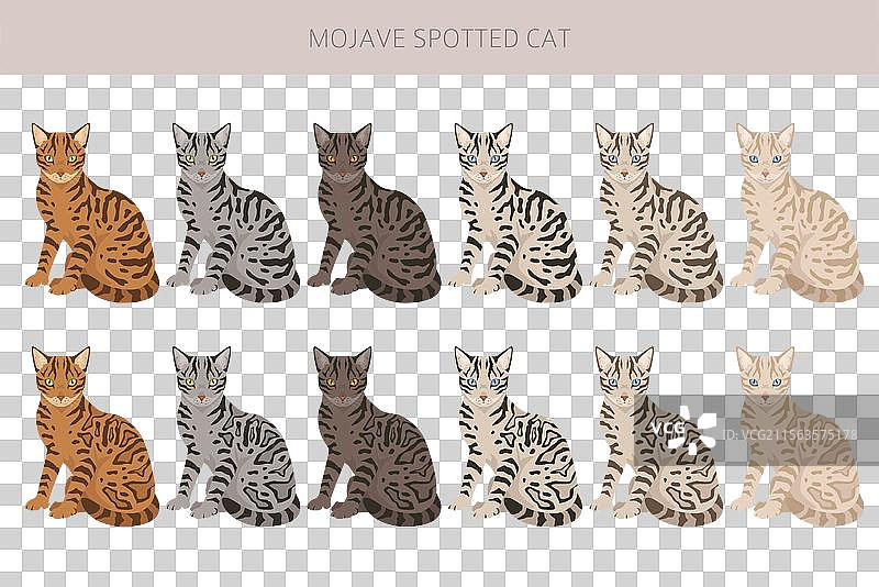 莫哈维斑点猫剪贴画，孟加拉猫和美国猫图片素材