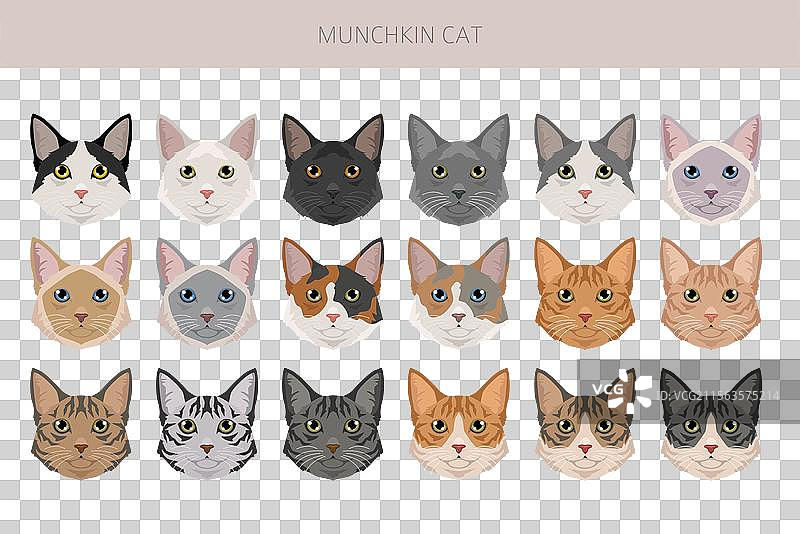 所有毛色的迷你猫剪贴画合集图片素材
