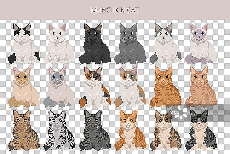 所有毛色的迷你猫剪贴画全集图片素材