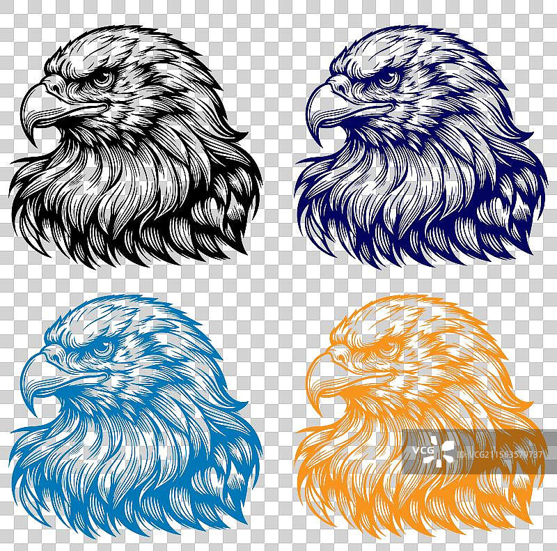 复古风格的野生鹰图片素材